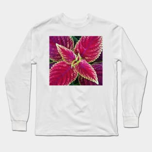 Coleus Leaves Long Sleeve T-Shirt